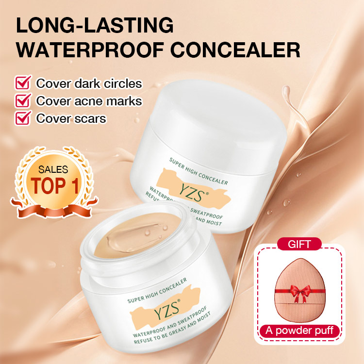 YZS LONG LASTING WATERPROOF CONCEALER